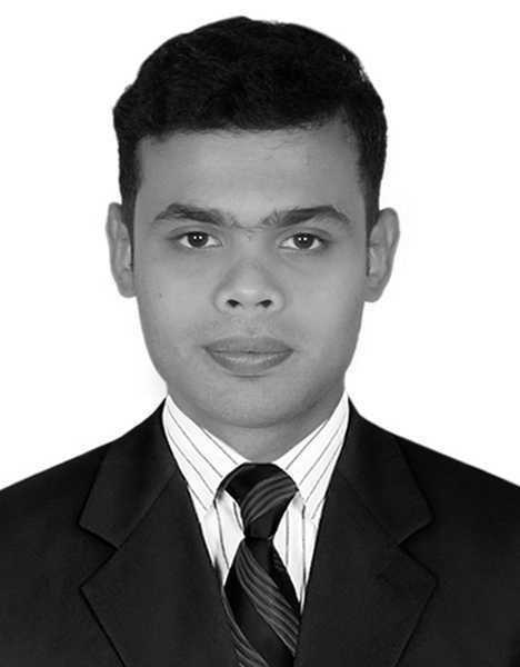 Wordpress Developer